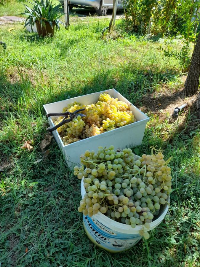Chateau Sukaj Ljaknasi エクステリア 写真