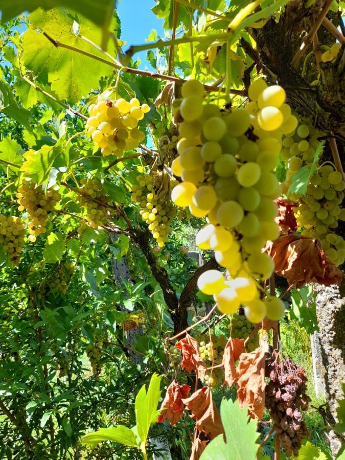Chateau Sukaj Ljaknasi エクステリア 写真